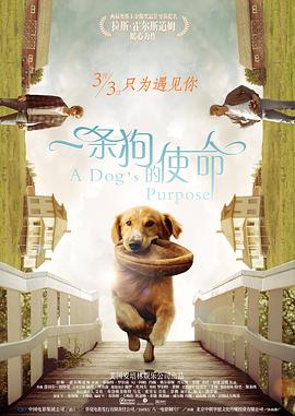 1080HD手机在线观看
